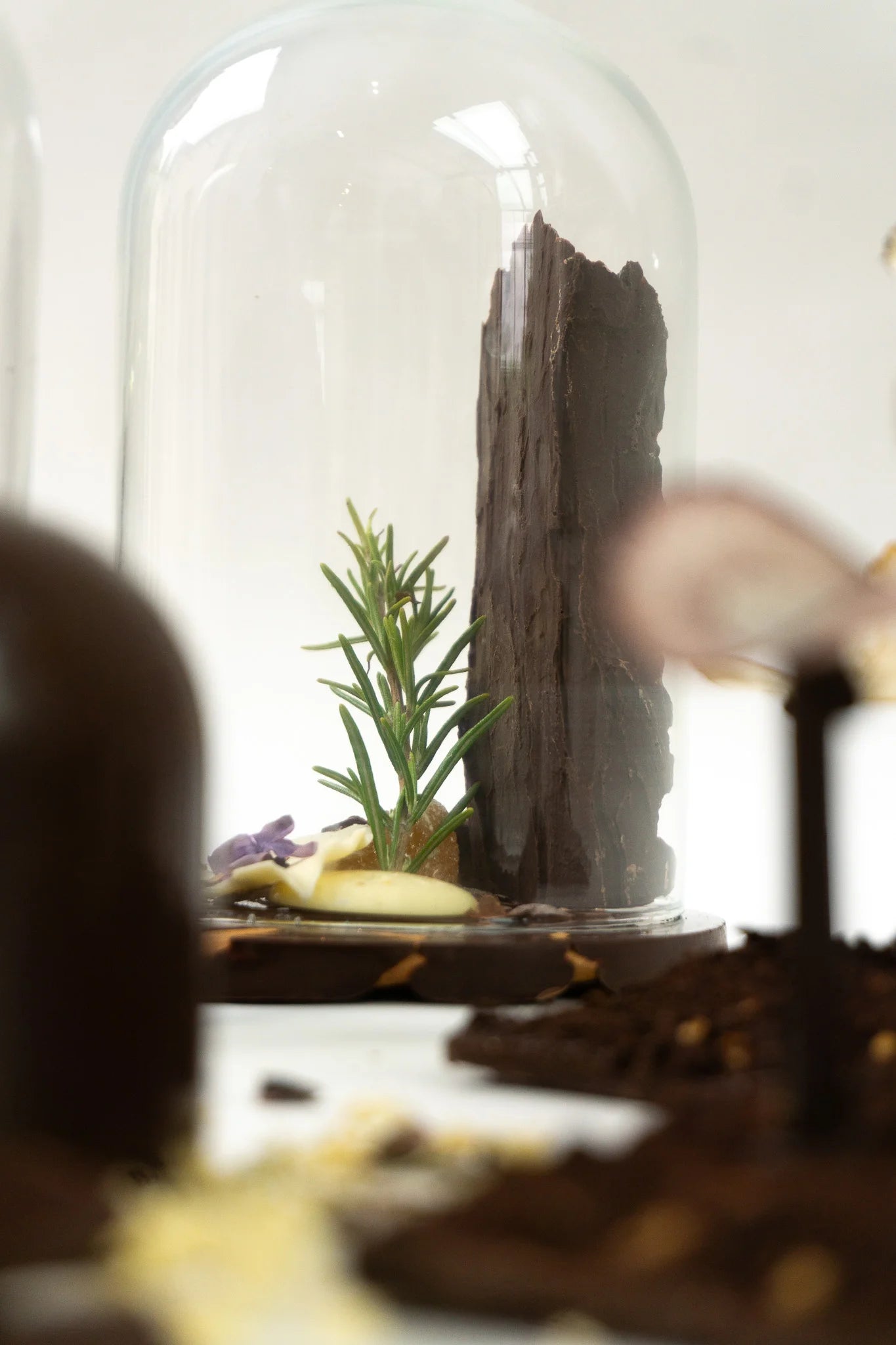Extrait de Sous - Bois - Chocolats Colas