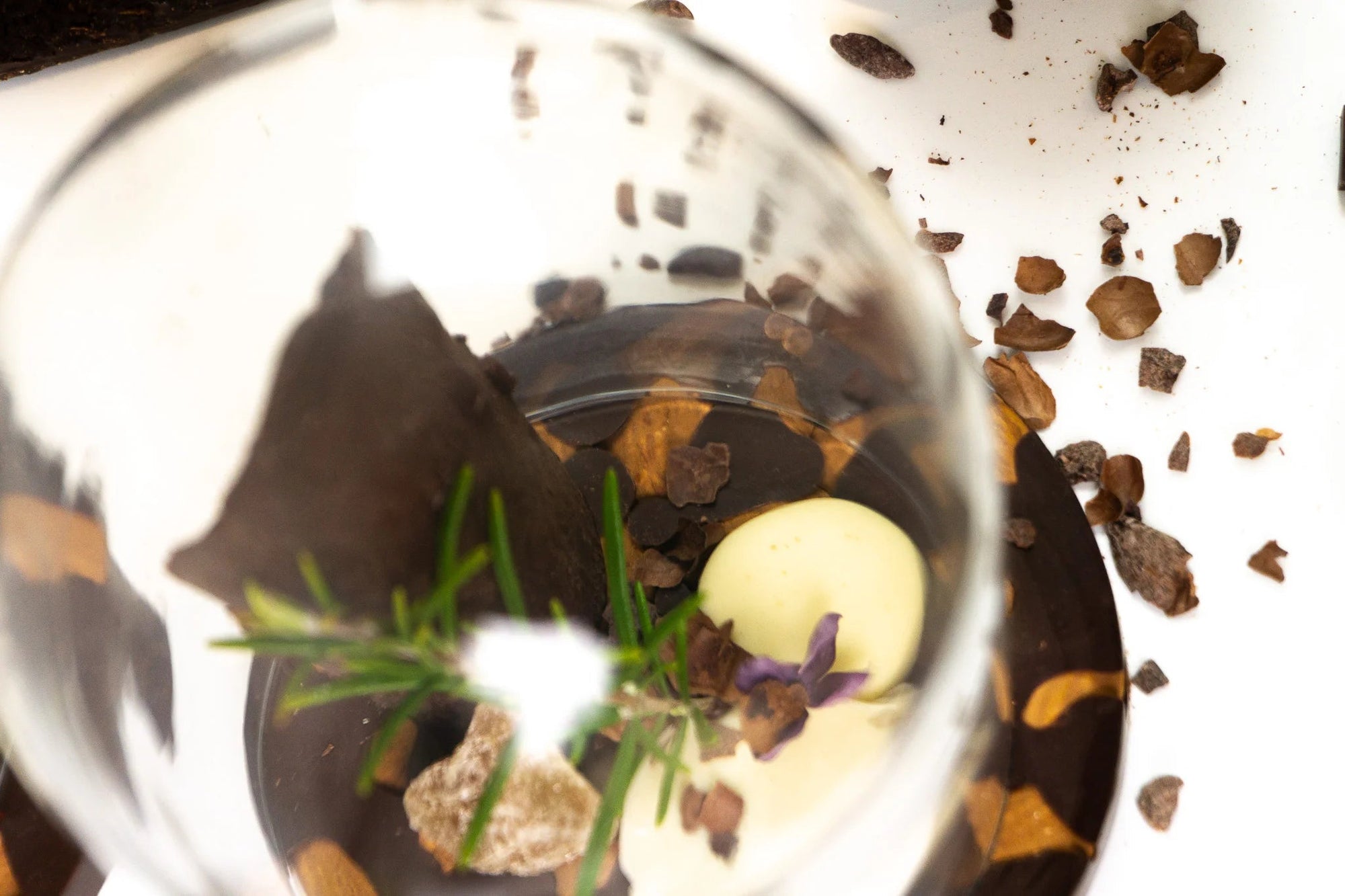 Extrait de Sous - Bois - Chocolats Colas