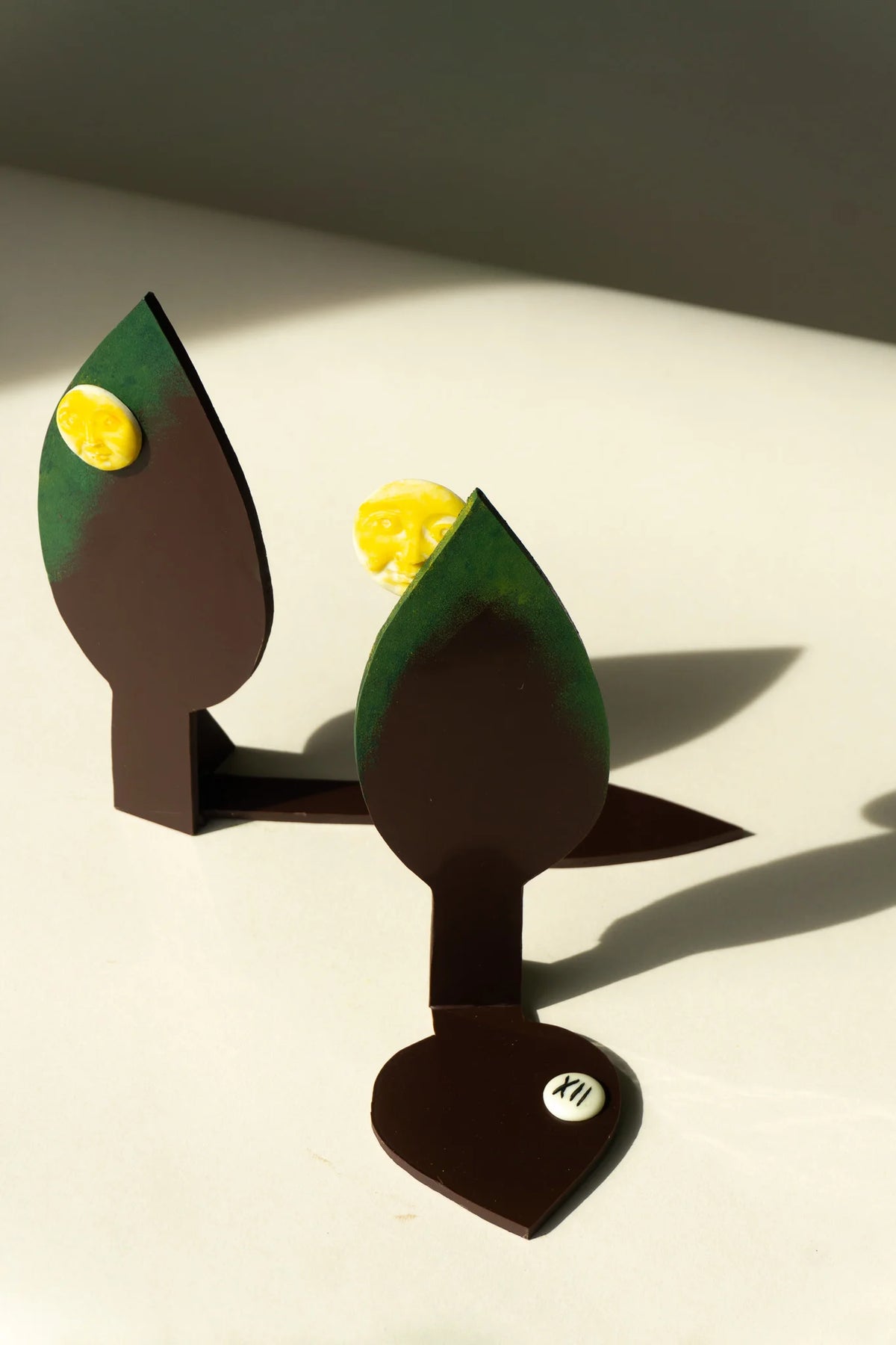 Ombre d'arbre-chocolat et lumière