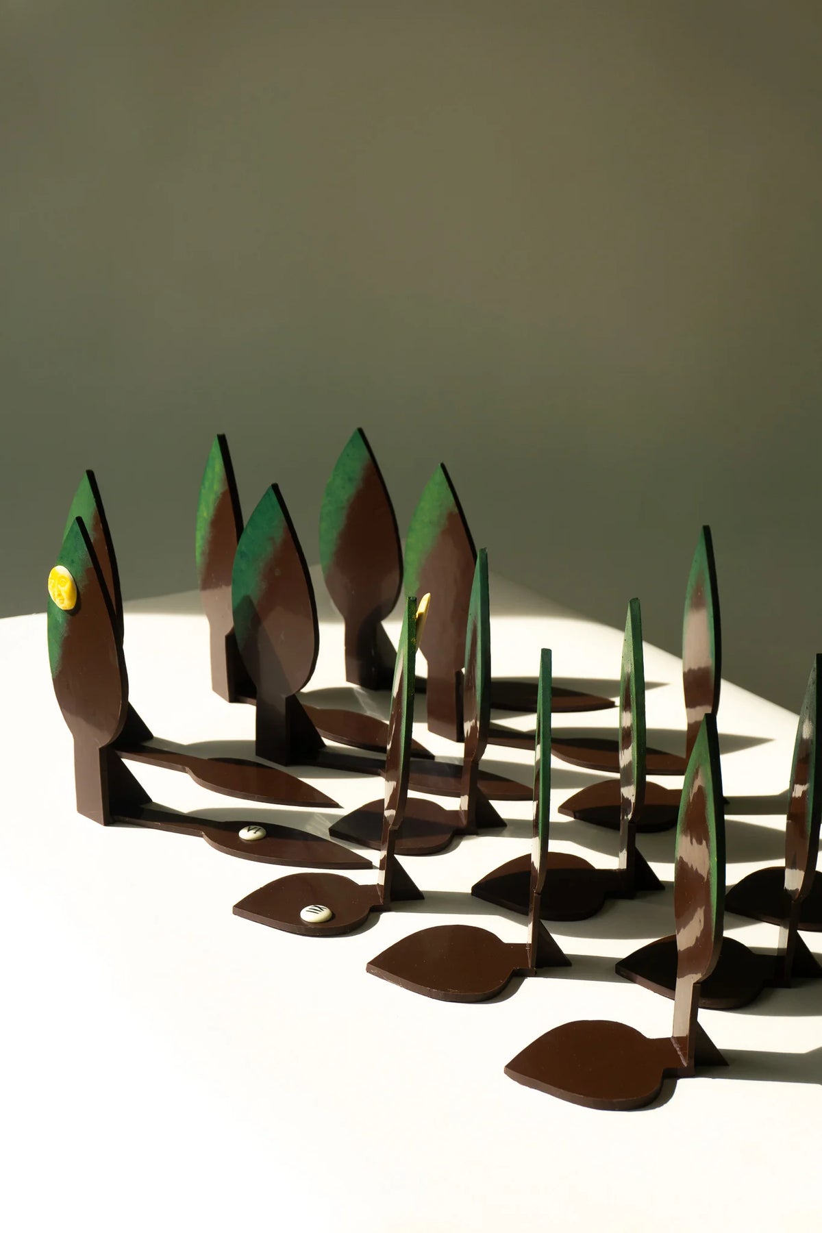 Ombre d'arbre-chocolat et lumière