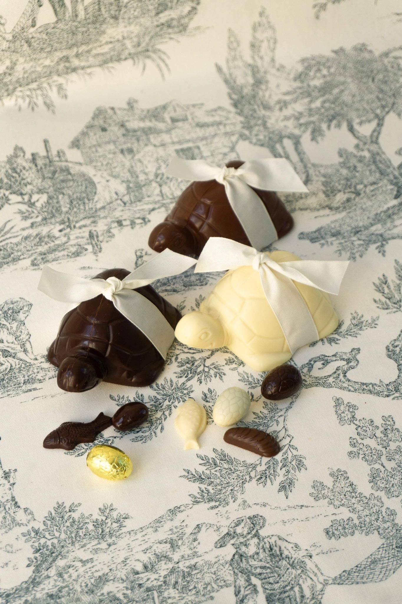 Tortue de Pâques garnie - Chocolats Colas